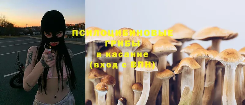 Галлюциногенные грибы Magic Shrooms  Ковров 